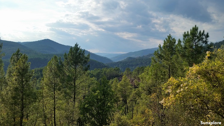 Les Monts d’Ardèche, un paysage plein naturel