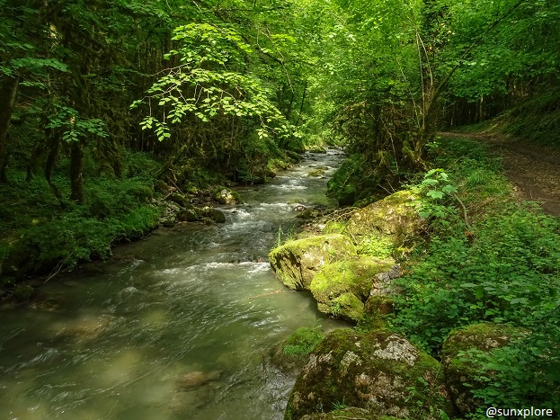 Dans la Drôme, le chemin de randonnée qui mène à la cascade verte est longé par le Vernaison