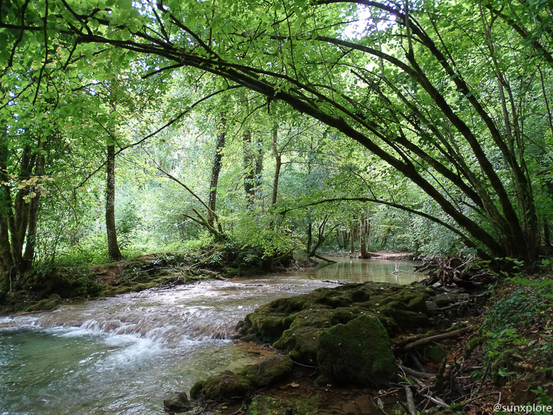 Une randonnée à Arbois dans le Jura le long de la Cuisance en direction de la cascade des tufs