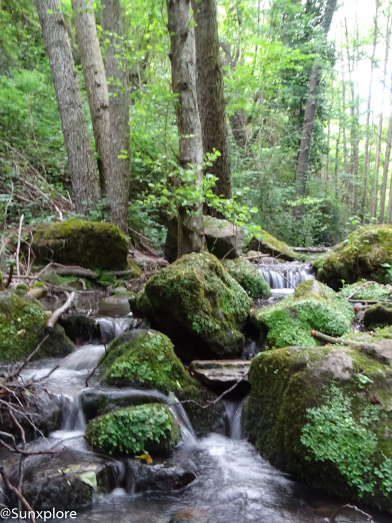 Petit cours d'eau bordé de rochers couverts de mousse dans une forêt verdoyante près de Montélimar.