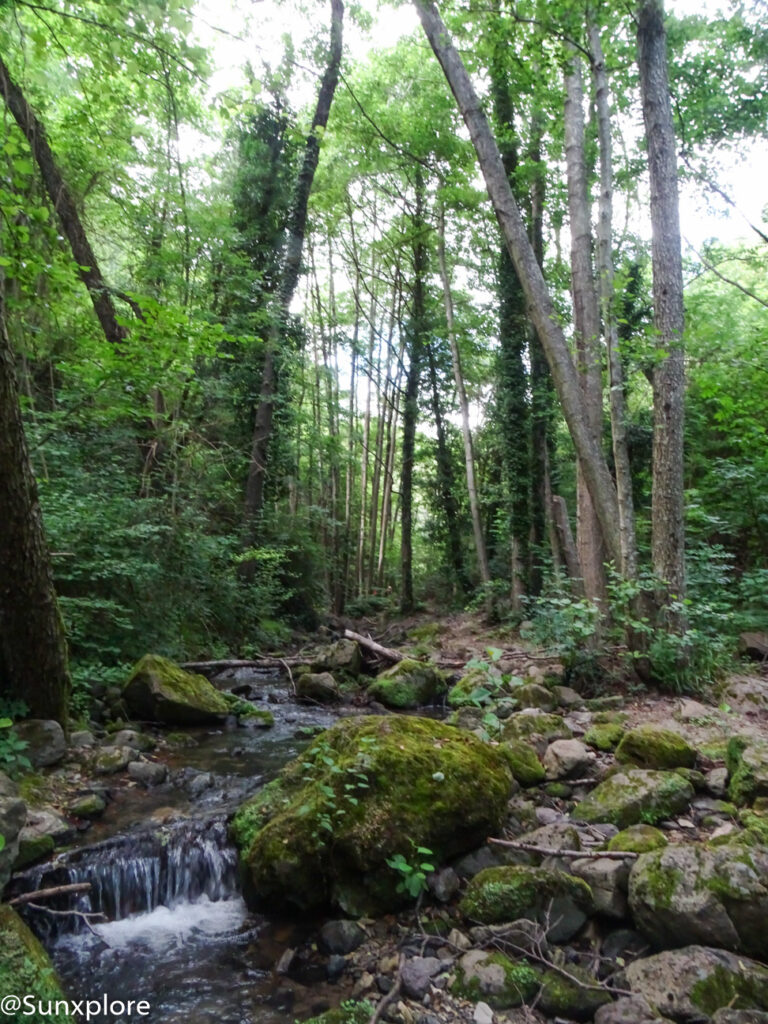 Vue d'un sentier de randonnée bordé d'arbres et de végétation luxuriante près de Montélimar.