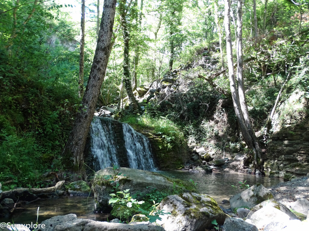 Petite cascade au milieu de la forêt avec un bassin d'eau claire.