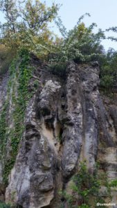 Falaise de calcaire