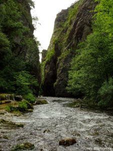 Des gorges au cœur du Vercors, un paysage magnifique à deux pas de la cascade verte