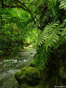 Le Vernaison, cette rivière coule en direction de la cascade verte et de Pont-en-Royans