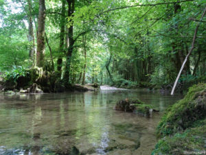 Promenade le long de la Cuisance en direction de la cascade des tufs
