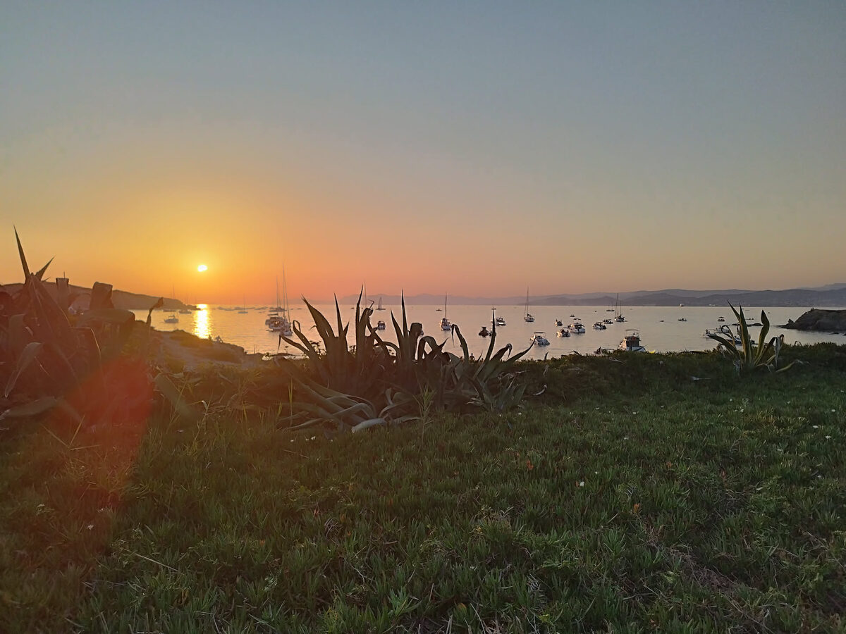 Soleil bas doré au-dessus de la mer et des agaves, pendant l'éclipse partielle, île des Embiez